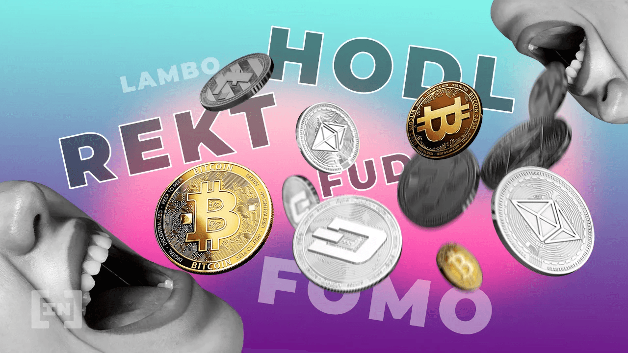 Krypto ordbog: Kryptovalutaer, DeFi og NFT&#8217;er