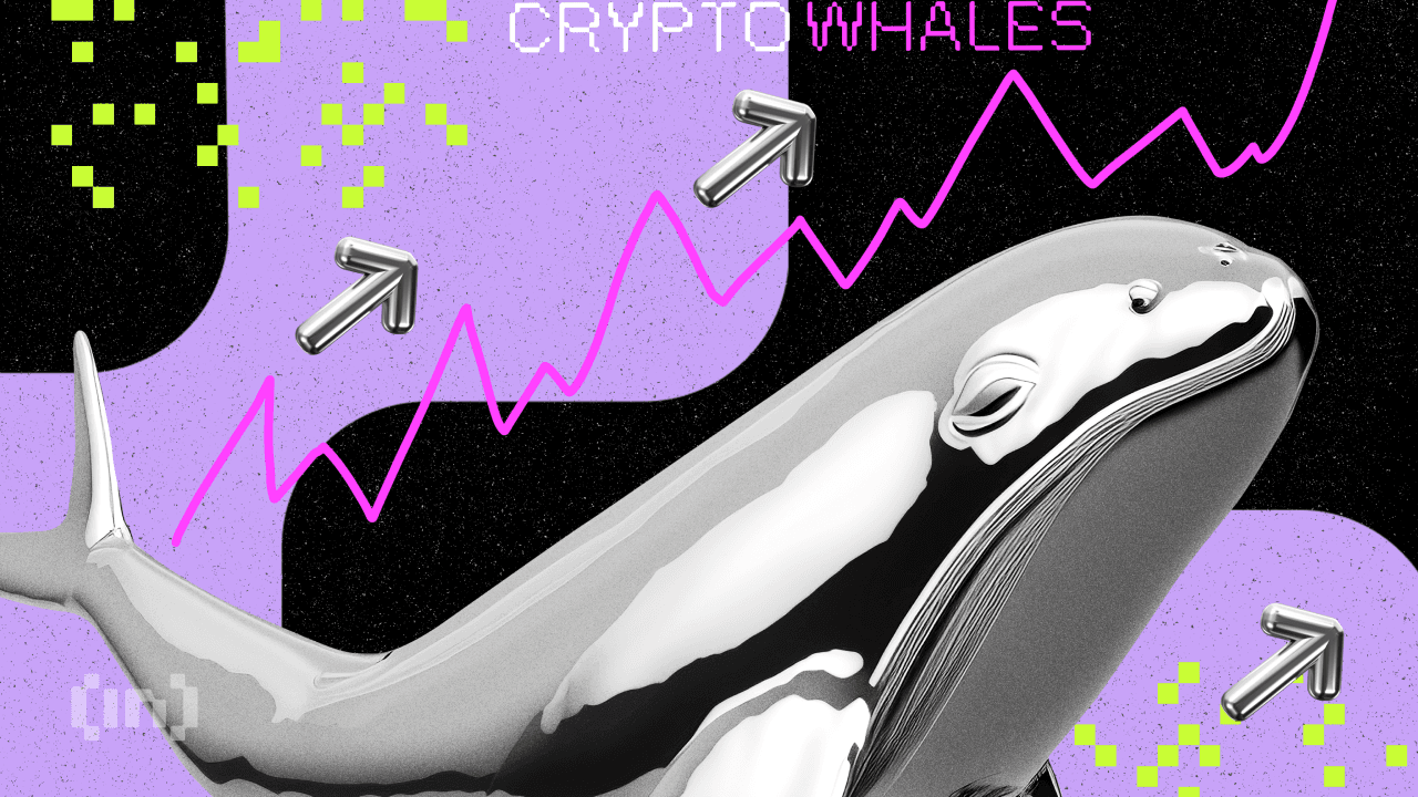 Hvad gjorde kryptohvaler, da Ethereum (ETH) nåede en rekordhøjde?