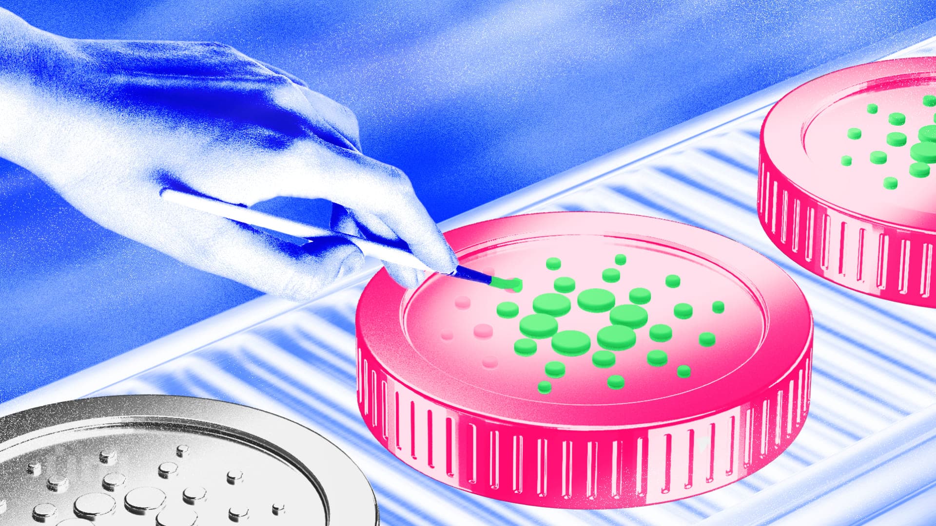 Cardano-hvalers akkumulering rammer 420 millioner ADA selvom kursen ikke bryder udbruddet