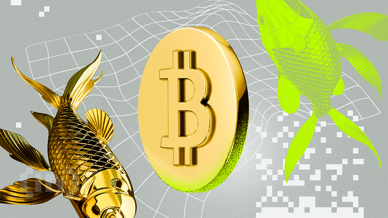 Bitcoin vil følge guldets stigning med en 100-dages forsinkelse under likviditetsboom, siger analytiker
