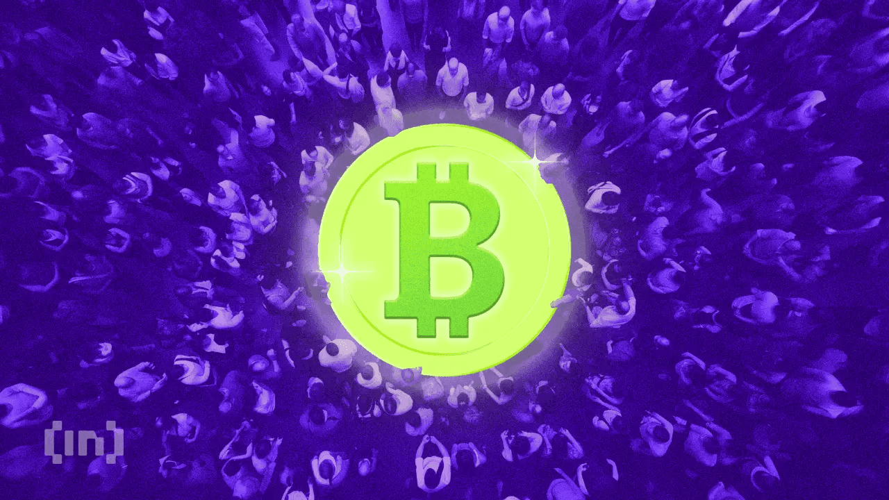 1 til 4: Bitcoin falder én gang, treasury-selskaber falder fire gange