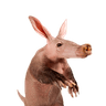 Aardvark [OLD]