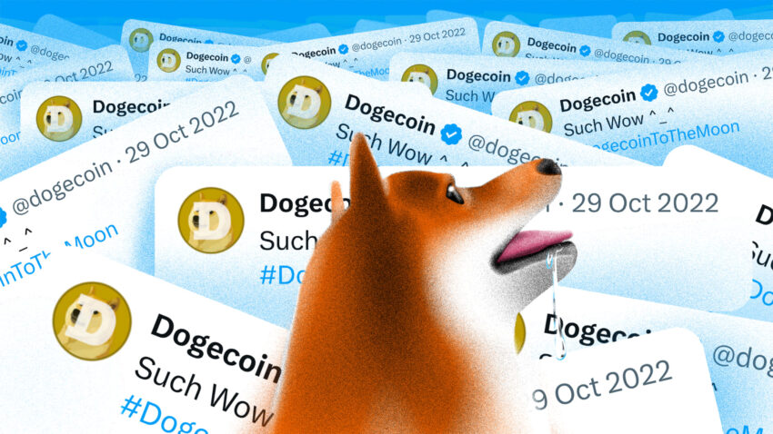 Dogecoin (DOGE) prisstigning: Købssignal på kæden dukker op