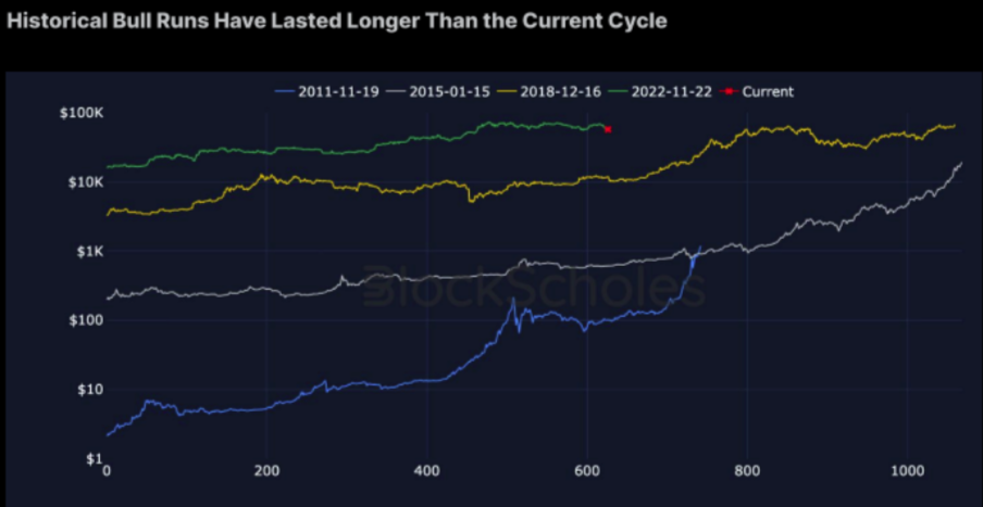 Sammenligning af historiske Bitcoin Bull-løb. 
