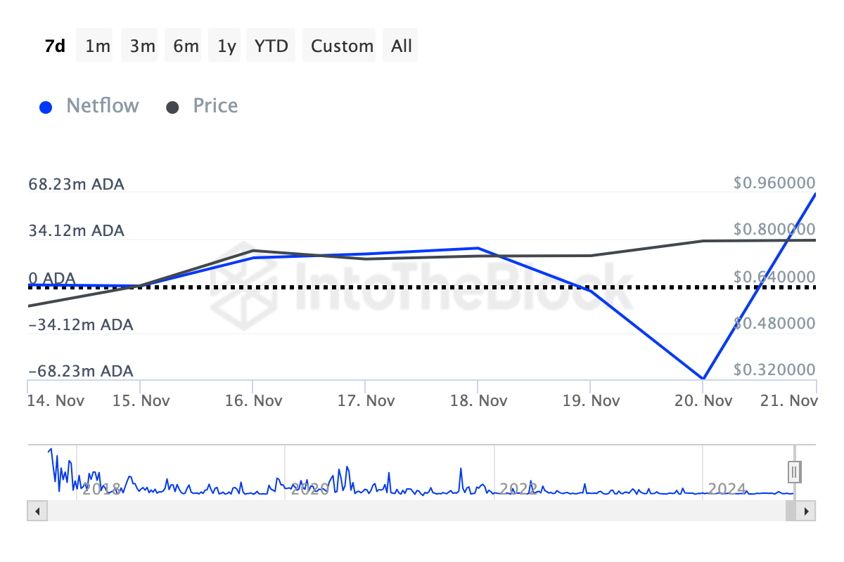 Cardano kryptohvalers akkumulering