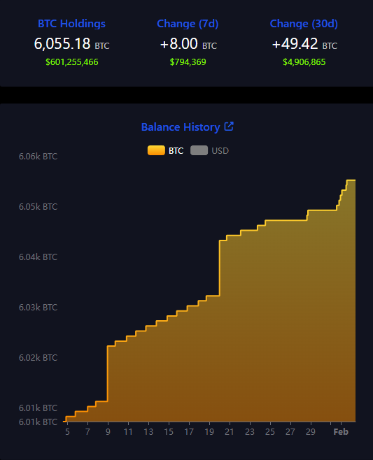 el salvador bitcoin beholdninger