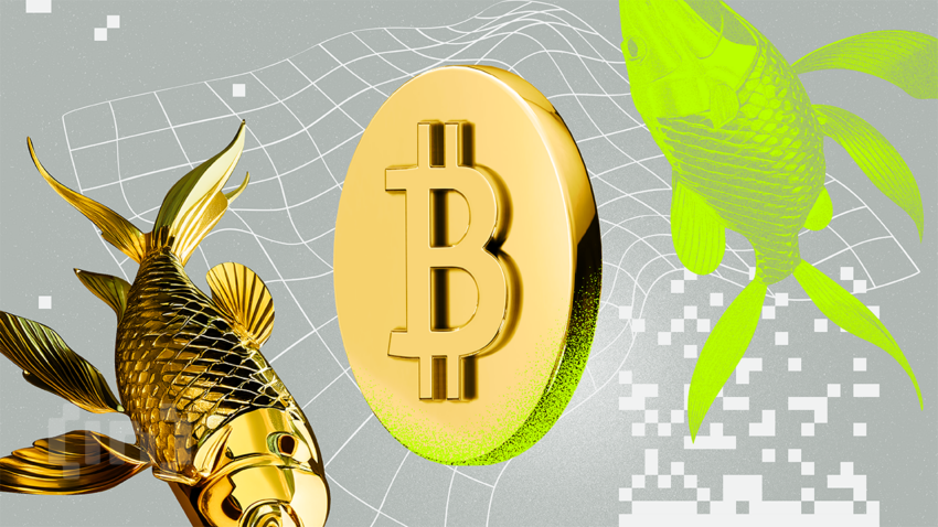Guld steg mens Bitcoin faldt da Iran truer med gengældelse