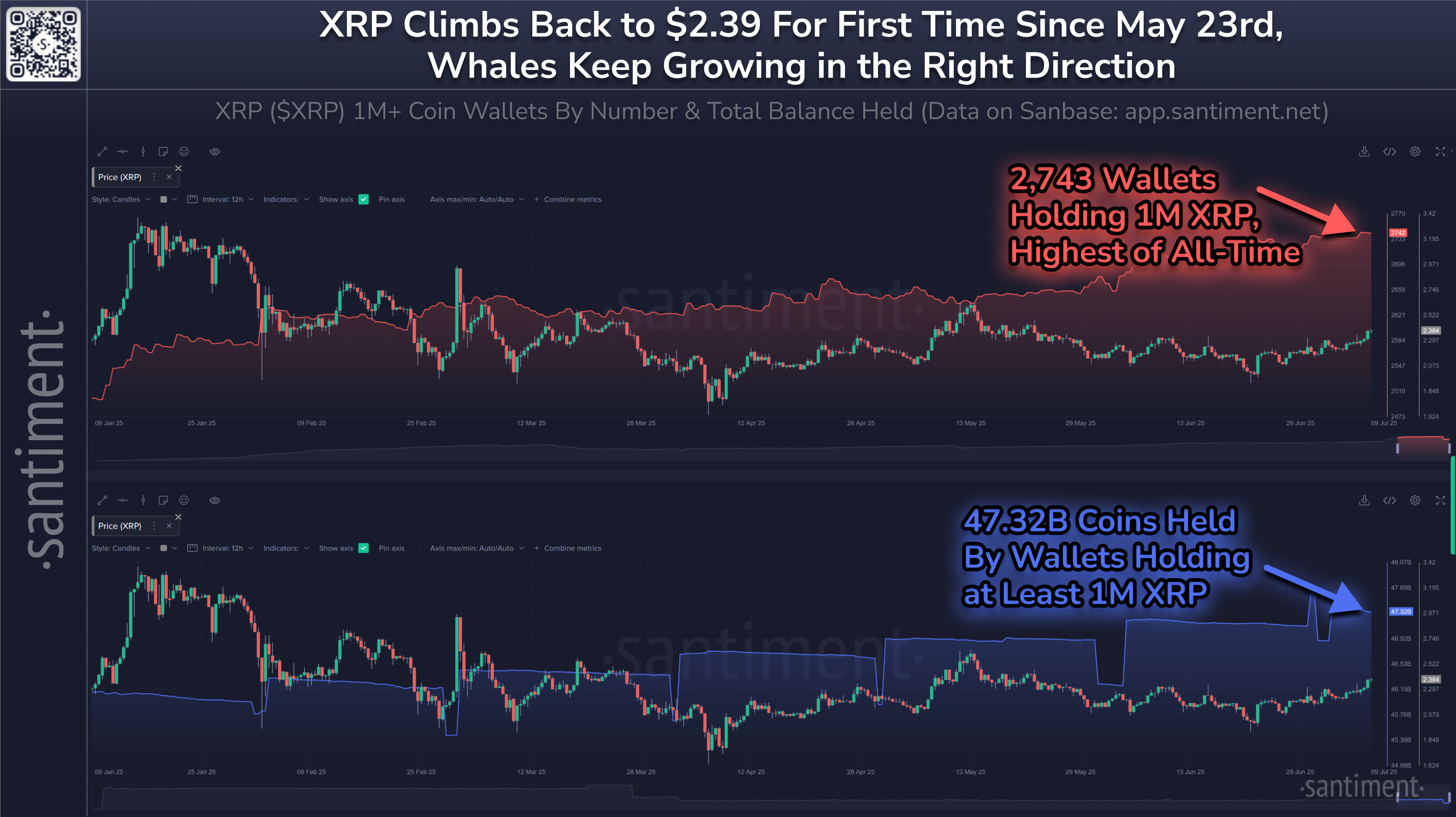 XRP-kurs og antal XRP-hvaler år til dato. Kilde: Santiment.