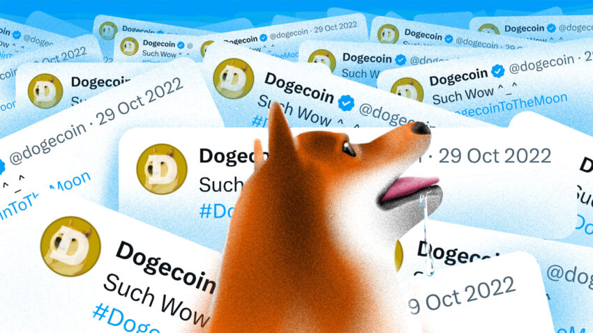 Dogecoin FOMO på vej? August katalysatorer at holde øje med