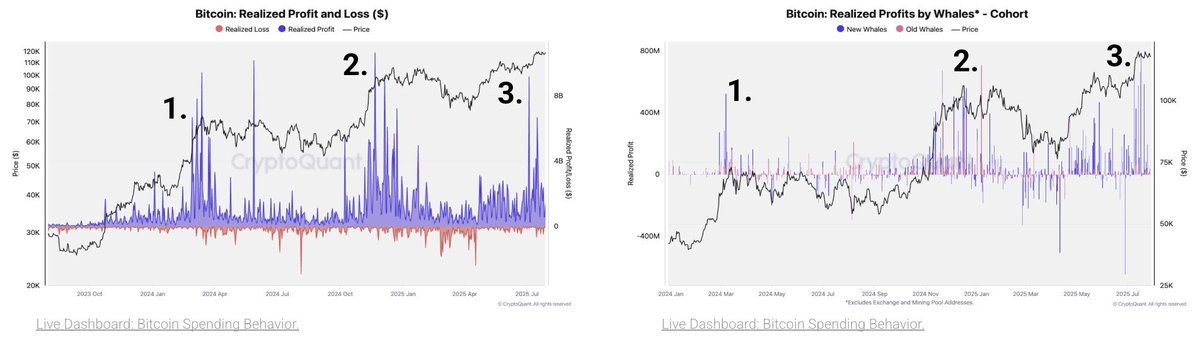 Bitcoin har netop oplevet sin tredje store profittagningsbølge i denne bull run. Kilde: CryptoQuant