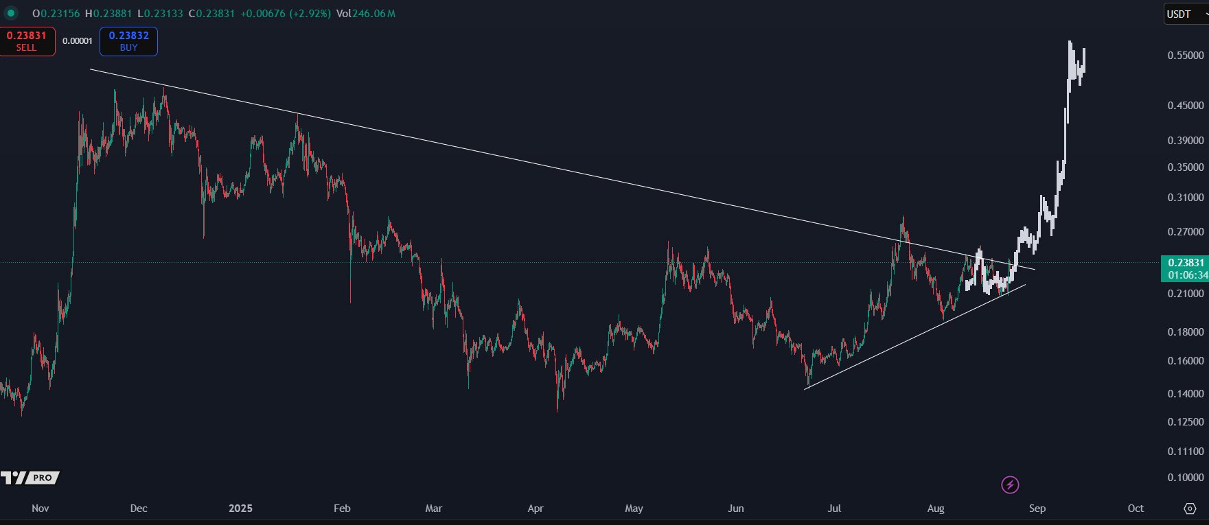 DOGE Price with Symmetrical Triangle Pattern. Source: KALEO.