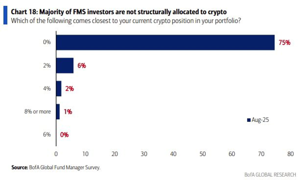 Store investorer holder krypto